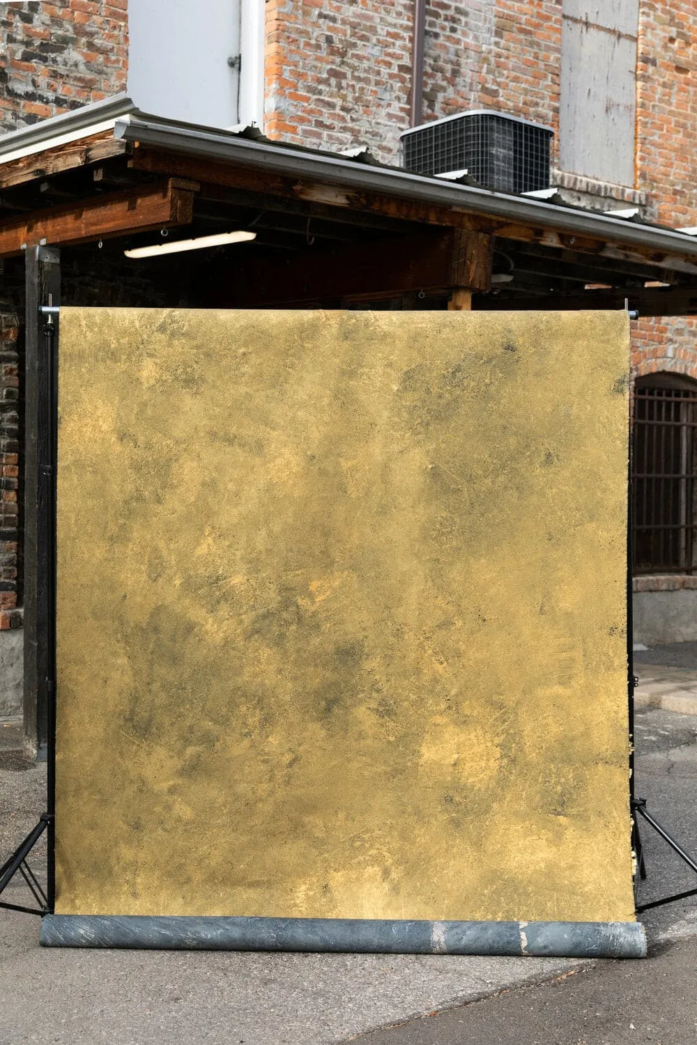 Bold Study #0059 // Large Canvas Backdrop