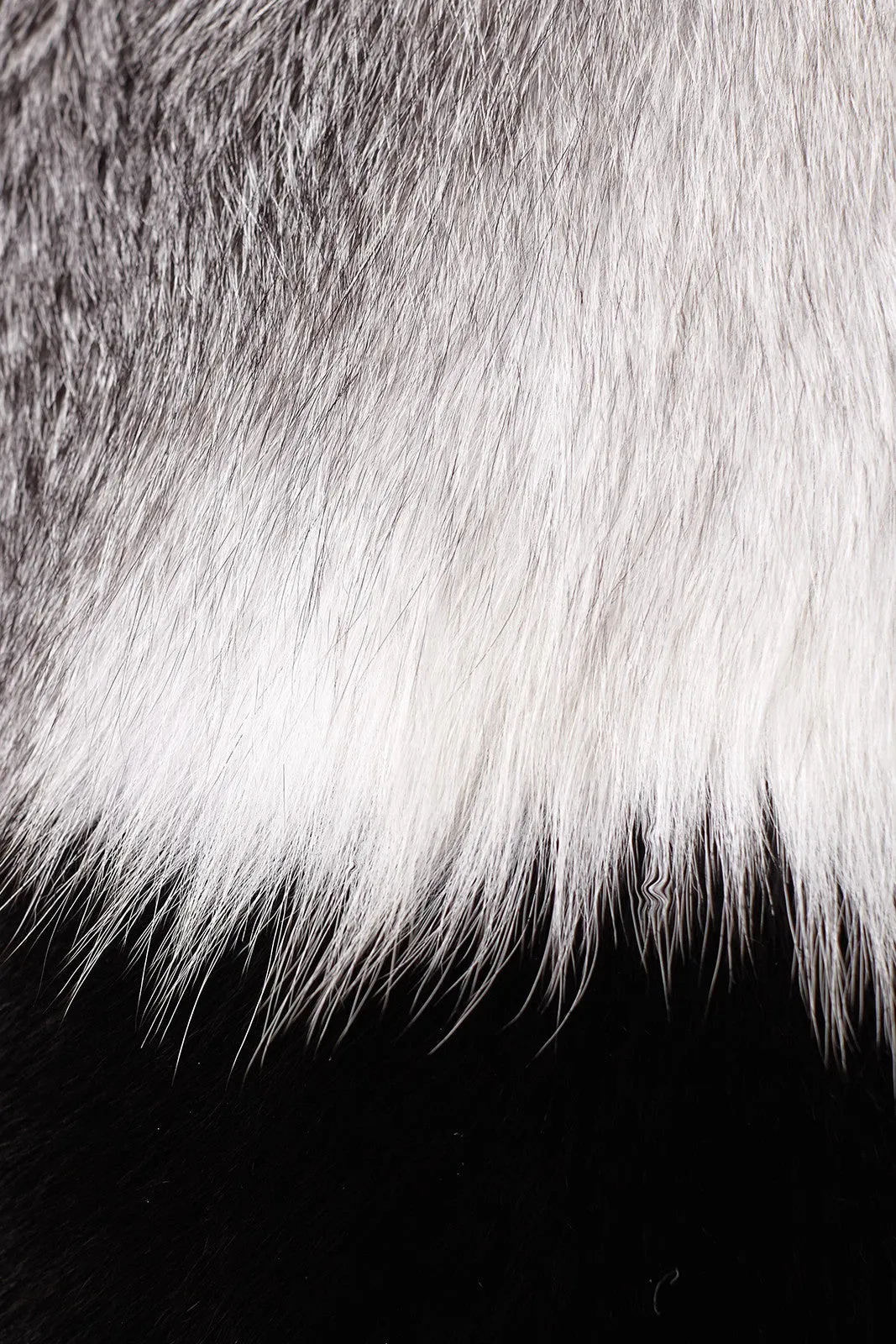 Maria Fox Fur Jacket