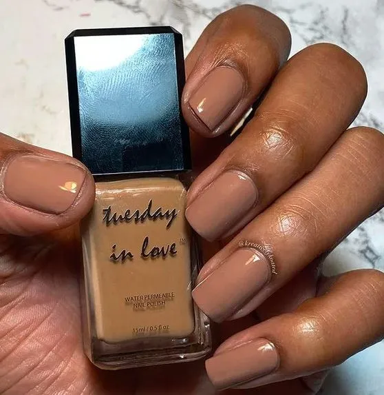 Tuesday in Love Light Terracotta Brown Nail Polish 15ML